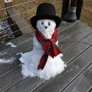 Meet your Posher, Donna